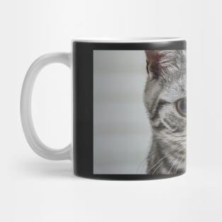 Elgar Mug